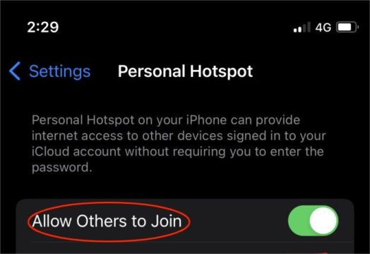 Turn on the "Allow others to join" button